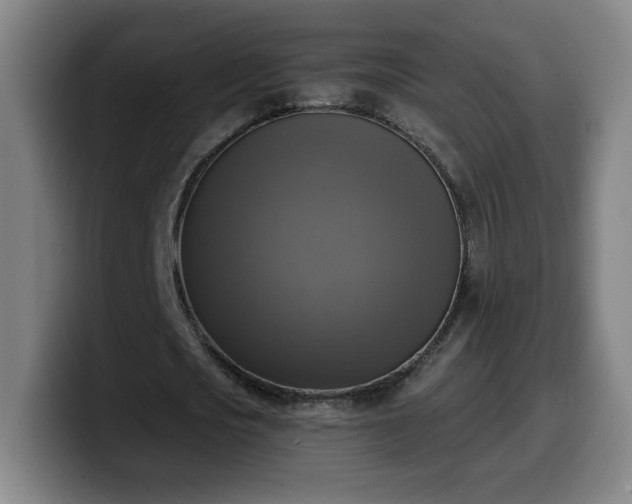 X0000099950721200805301235