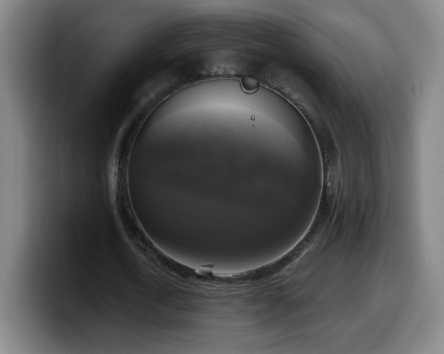 X0000099950722200805301235