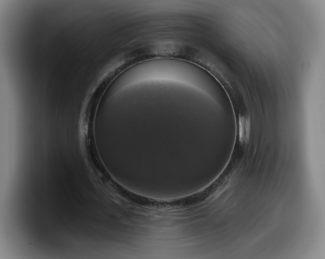 X0000099950723200805301236