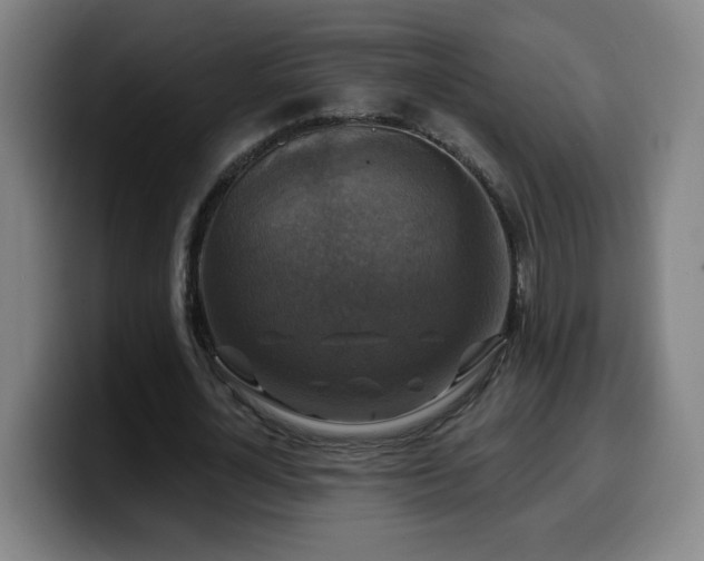 X0000099950724200805301236