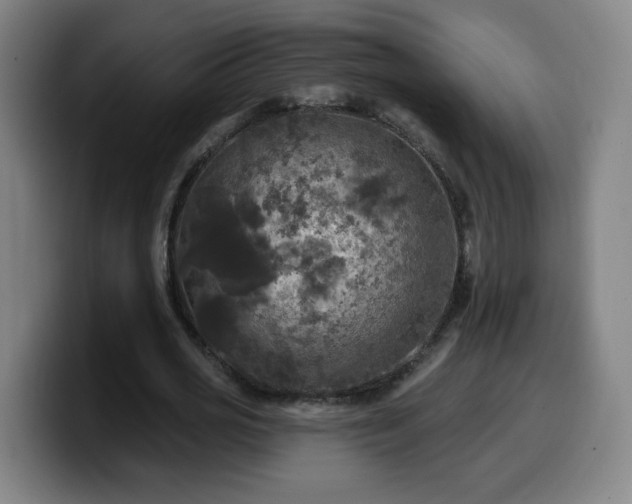 X0000099950725200805301236