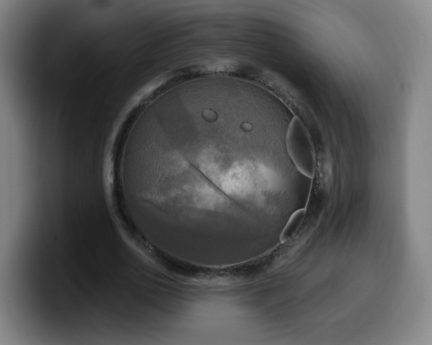 X0000099950726200805301236