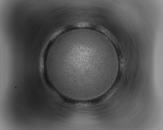 X0000099950727200805301236