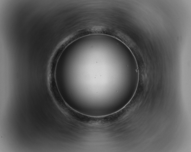 X0000099950728200805301236