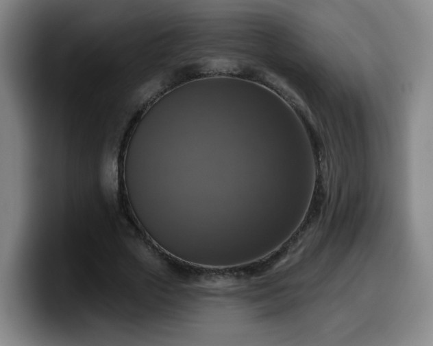X0000099950729200805301236