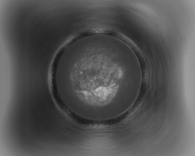 X0000099950730200805301236