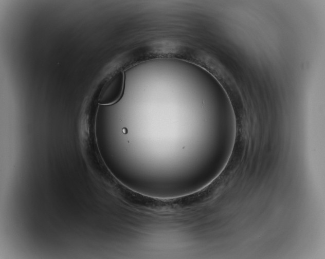 X0000099950731200805301236