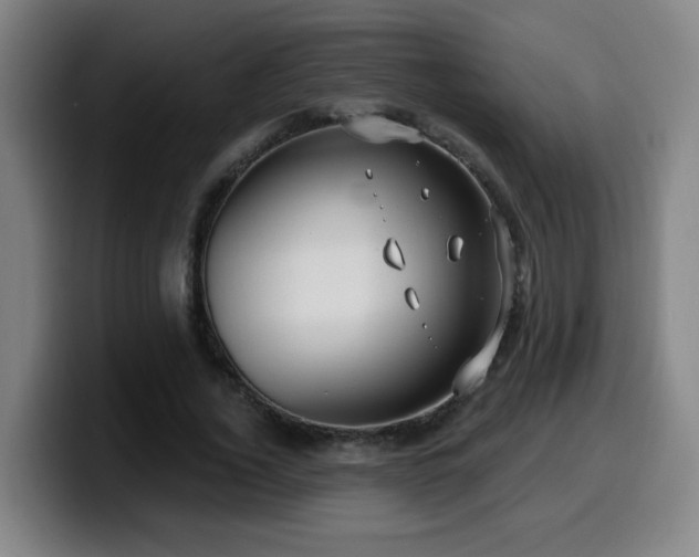 X0000099950732200805301236