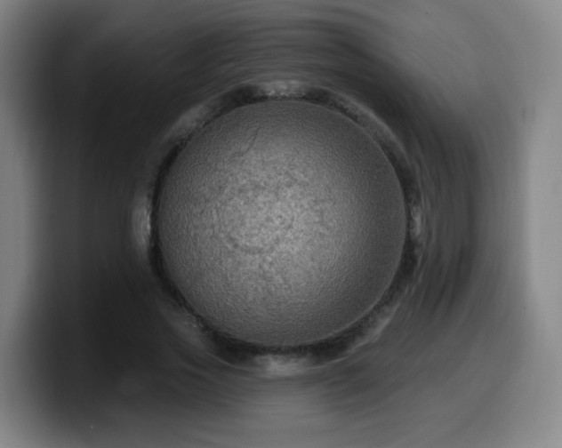 X0000099950733200805301236