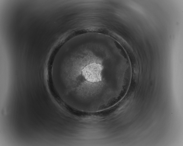 X0000099950734200805301236