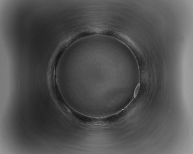 X0000099950736200805301236