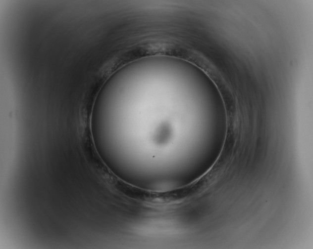 X0000099950737200805301236
