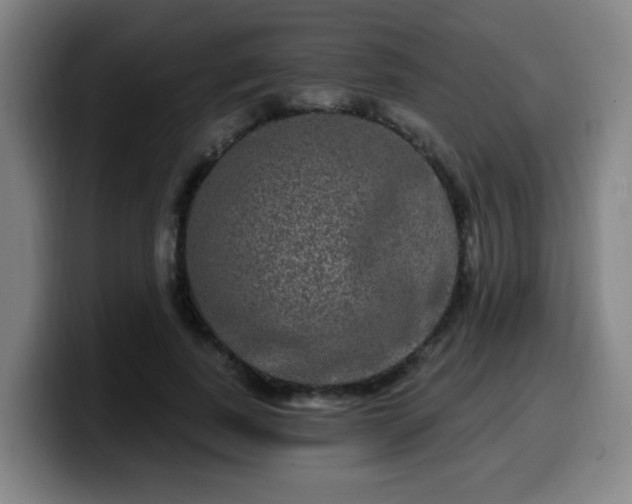 X0000099950739200805301236