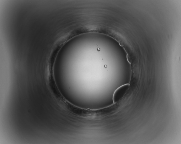 X0000099950740200805301236