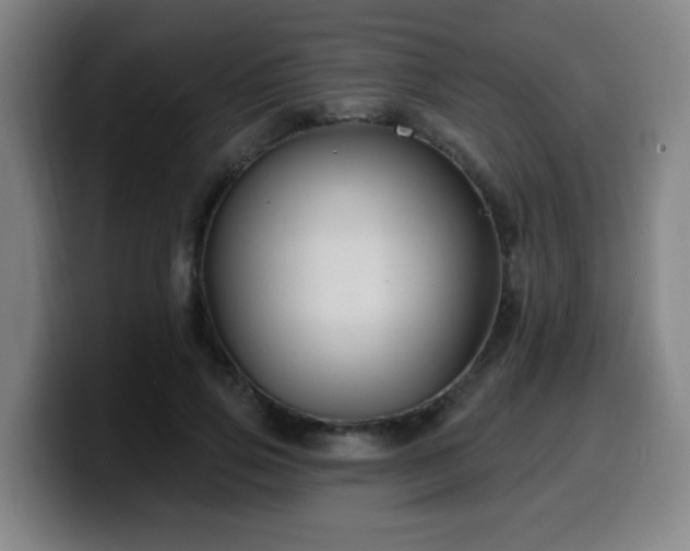 X0000099950741200805301236