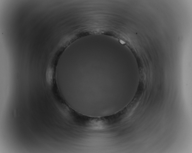 X0000099950742200805301236
