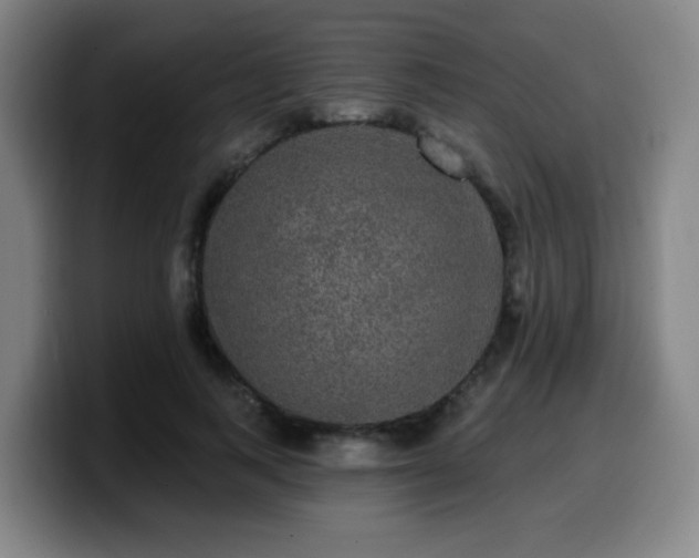 X0000099950743200805301236