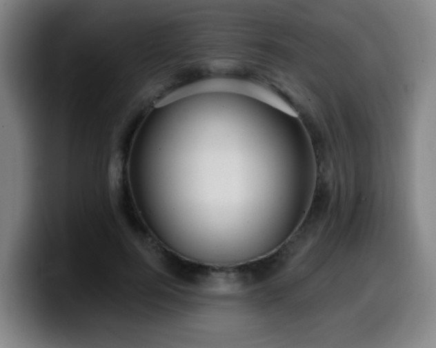 X0000099950744200805301236