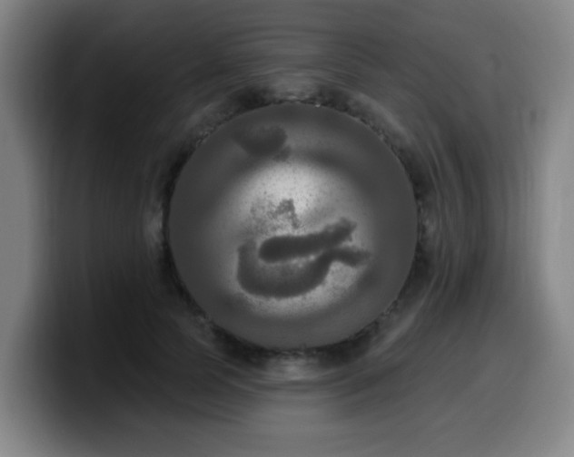 X0000099950745200805301236