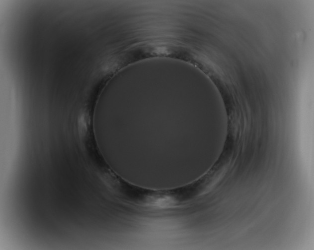X0000099950747200805301236