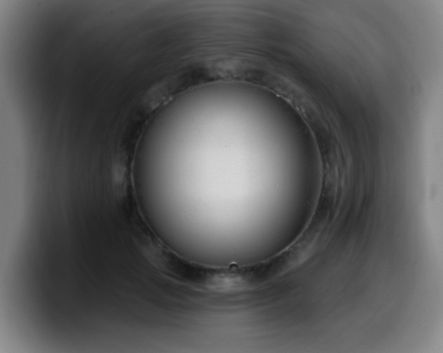 X0000099950749200805301236
