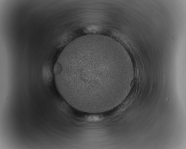 X0000099950751200805301236