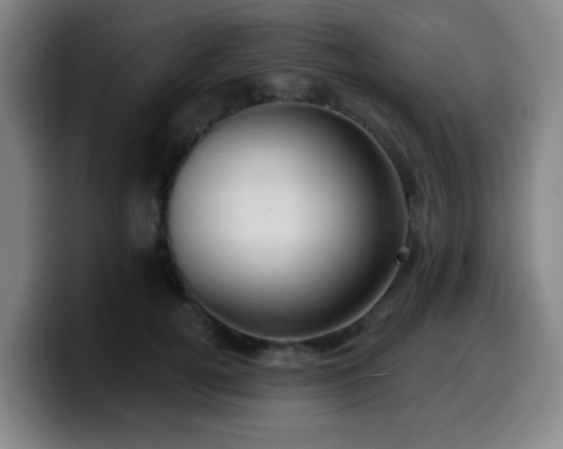 X0000099950752200805301236