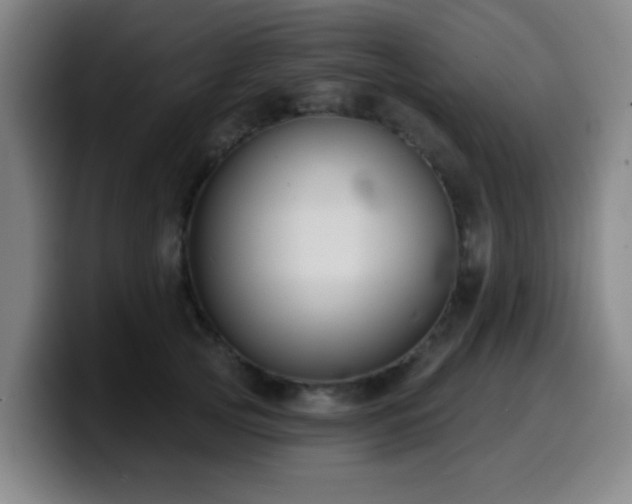 X0000099950753200805301236