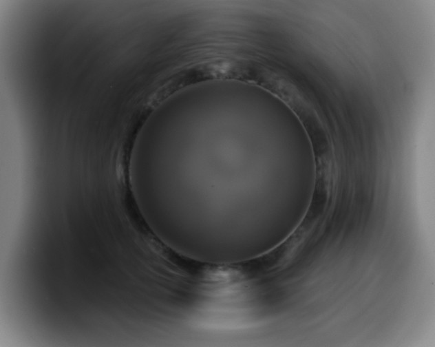 X0000099950754200805301236