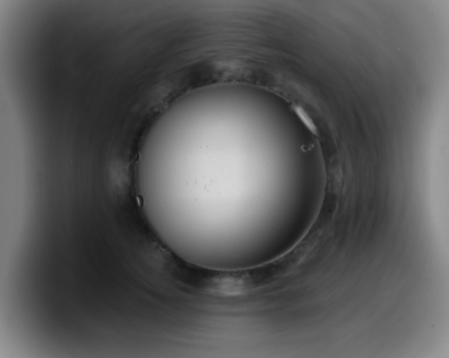 X0000099950756200805301236