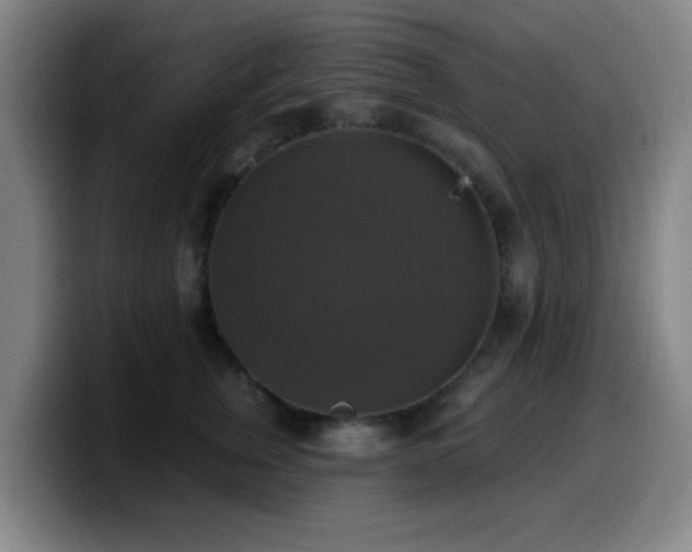 X0000099950759200805301236