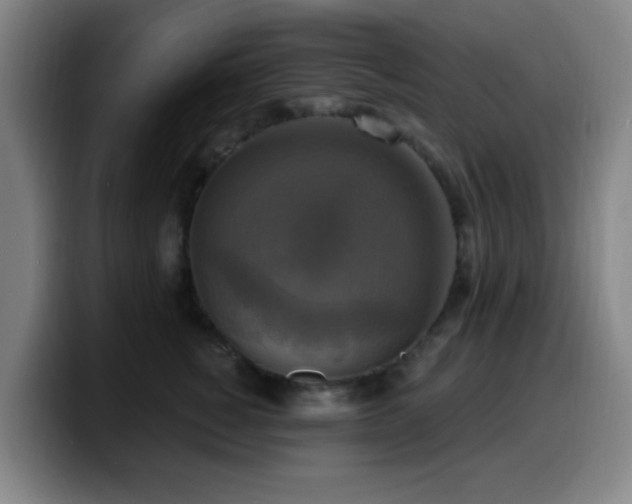 X0000099950760200805301236