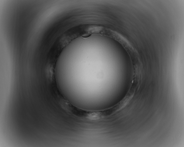 X0000099950761200805301236