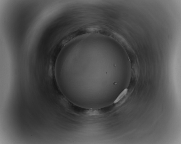 X0000099950762200805301236
