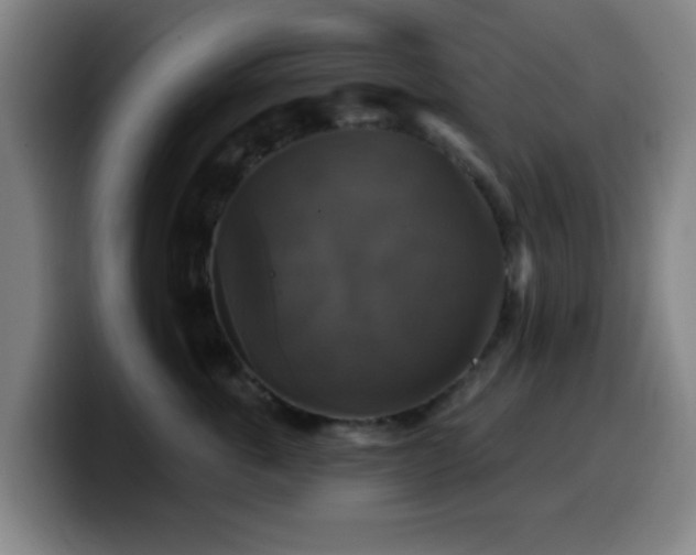 X0000099950763200805301236