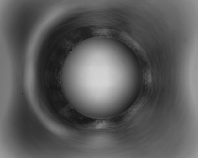 X0000099950764200805301236