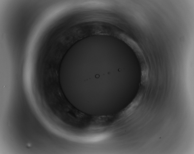 X0000099950765200805301236