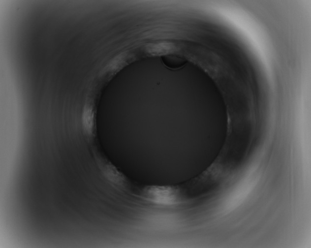 X0000099950767200805301236