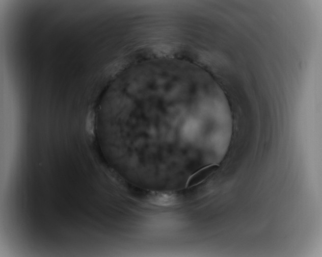 X0000099950768200805301236