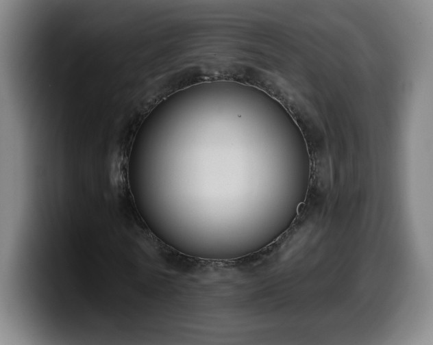 X0000099950770200805301235