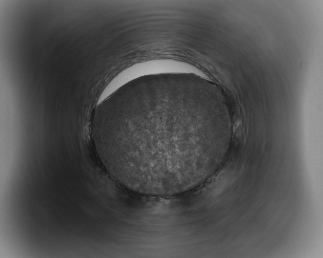 X0000099950772200805301235