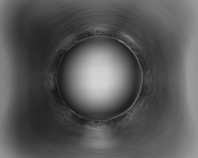 X0000099950774200805301235