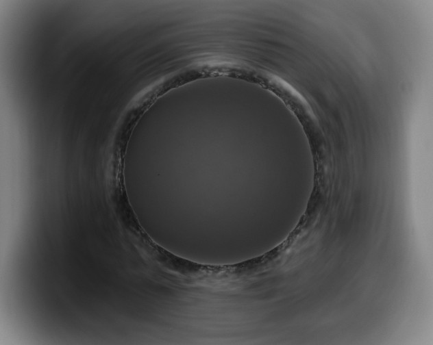 X0000099950775200805301235