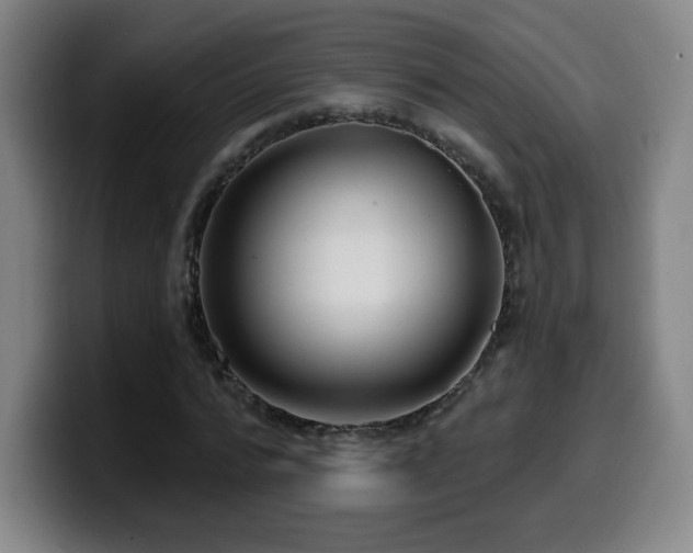 X0000099950776200805301235