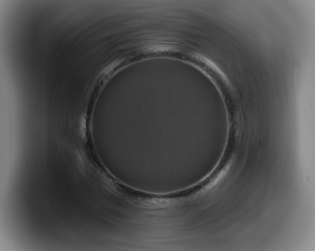 X0000099950777200805301235