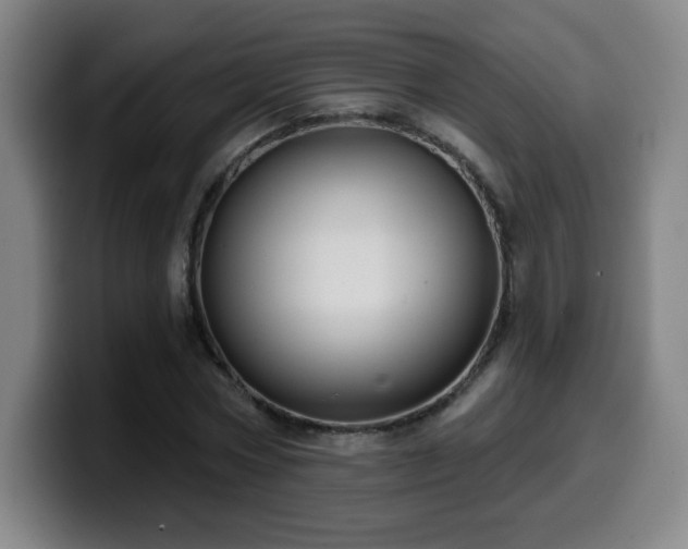 X0000099950778200805301235