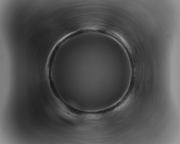 X0000099950779200805301235