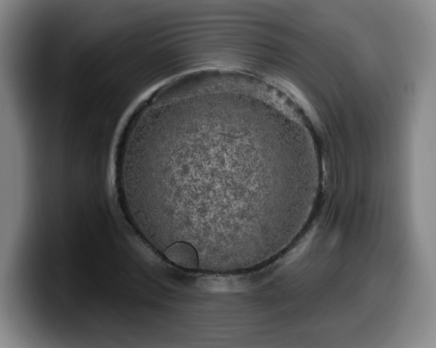 X0000099950780200805301235