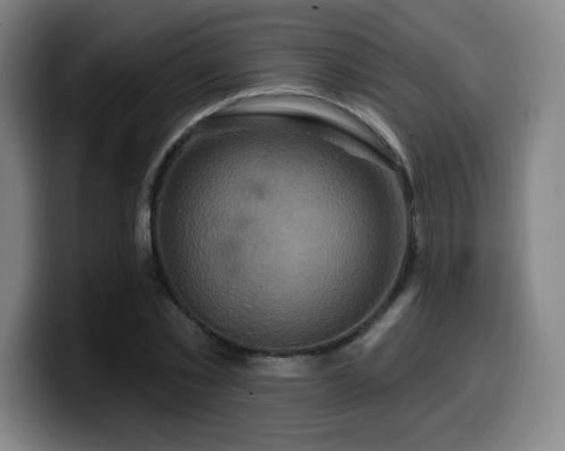 X0000099950781200805301235