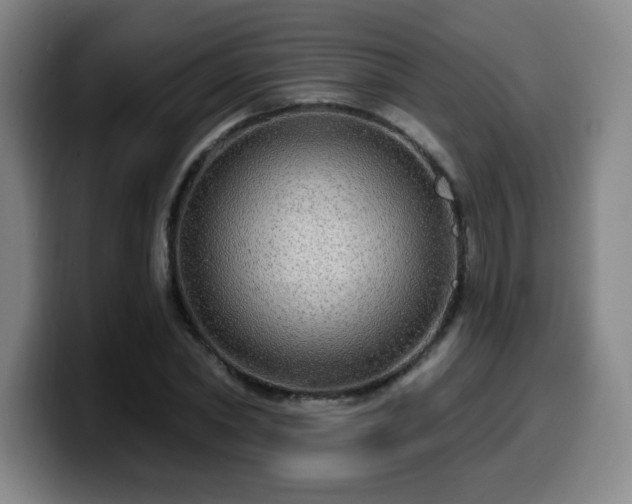 X0000099950782200805301235